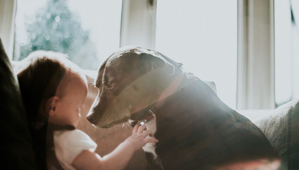 4 Amazing Ways Dogs Enhance Kids' Lives and Promote Their Overall Development