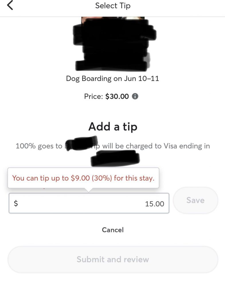 Do You Tip Dog Sitters on Rover? A Guide to Proper Etiquette and Fair Compensation