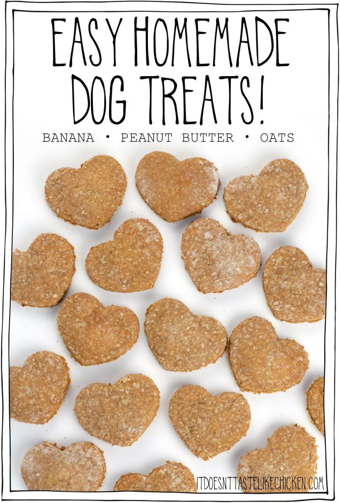 Exploring the Health Benefits of Homemade Dog Treats: Are They a Nutritious Choice for Your Furry Friend?