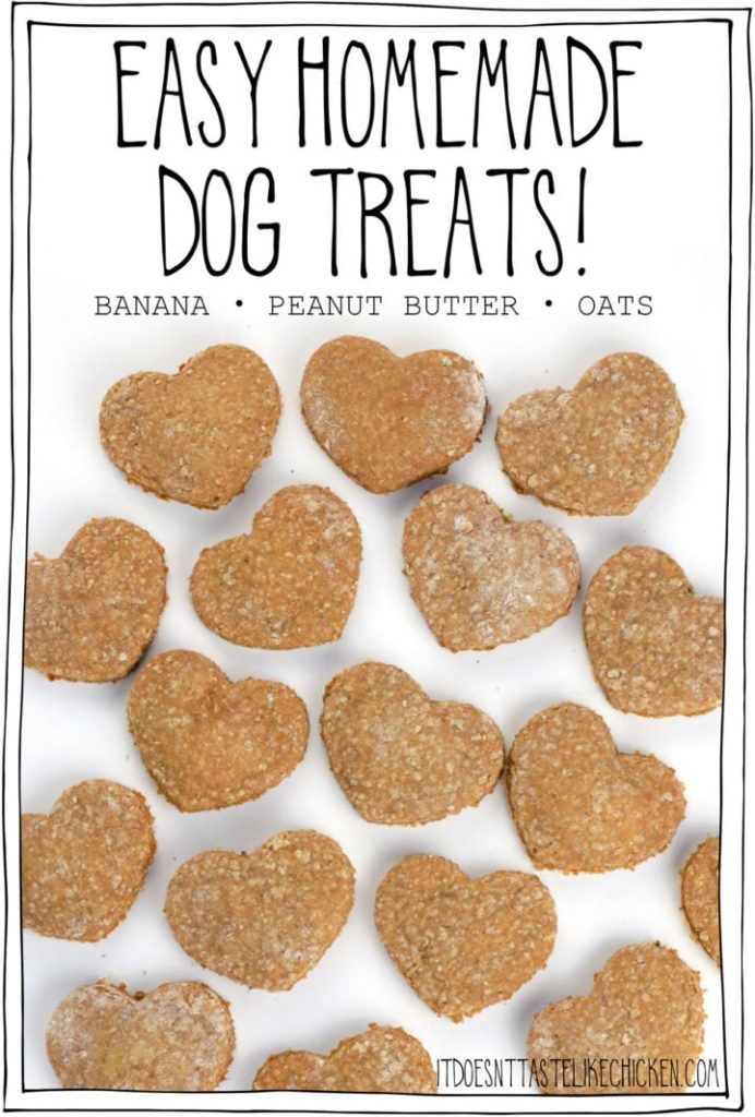 The Tastiest Homemade Dog Treat Recipes You'll Love to Share