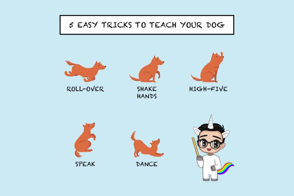 Step-by-Step Guide to Teaching Your Puppy Impressive Dog Tricks