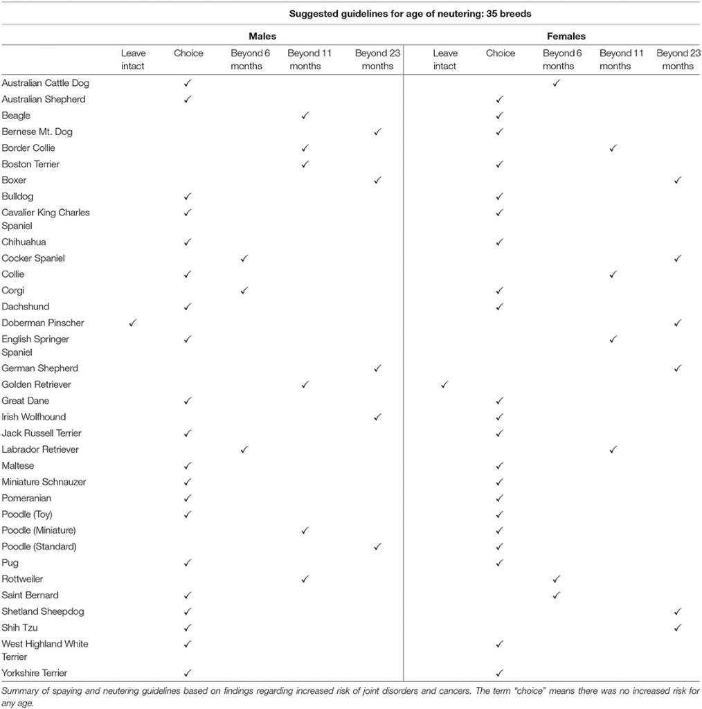 What to Consider When Deciding the Optimal Time for Neutering a Large Breed Dog