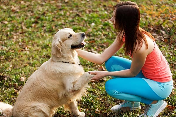 The Essential Guide to Effective Puppy Training: A Step-by-Step Approach