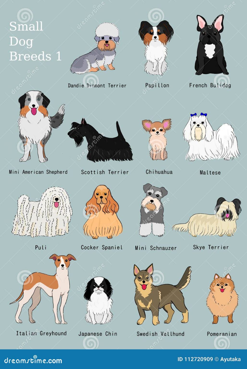 The Fascinating World of Dog Breed Names: Learning About Different Breeds and Their Unique Characteristics