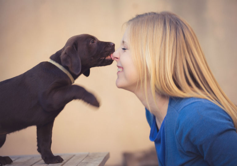 How Dogs Improve Our Lives: The Benefits and Joys of Canine Companionship