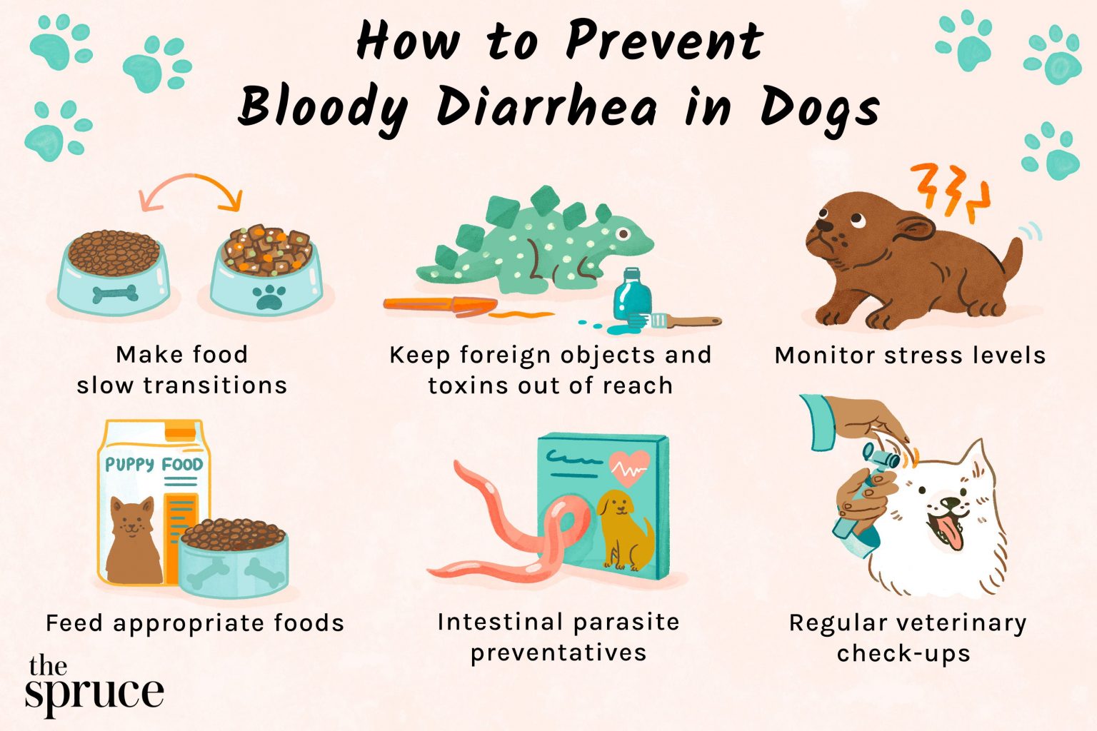 Effective Solutions to Soothe Your Dog's Upset Stomach: A Guide to Easing Diarrhea Naturally