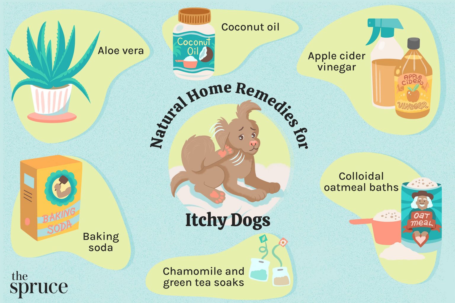 How to Safely and Effectively Treat Fleas on Your Dog at Home