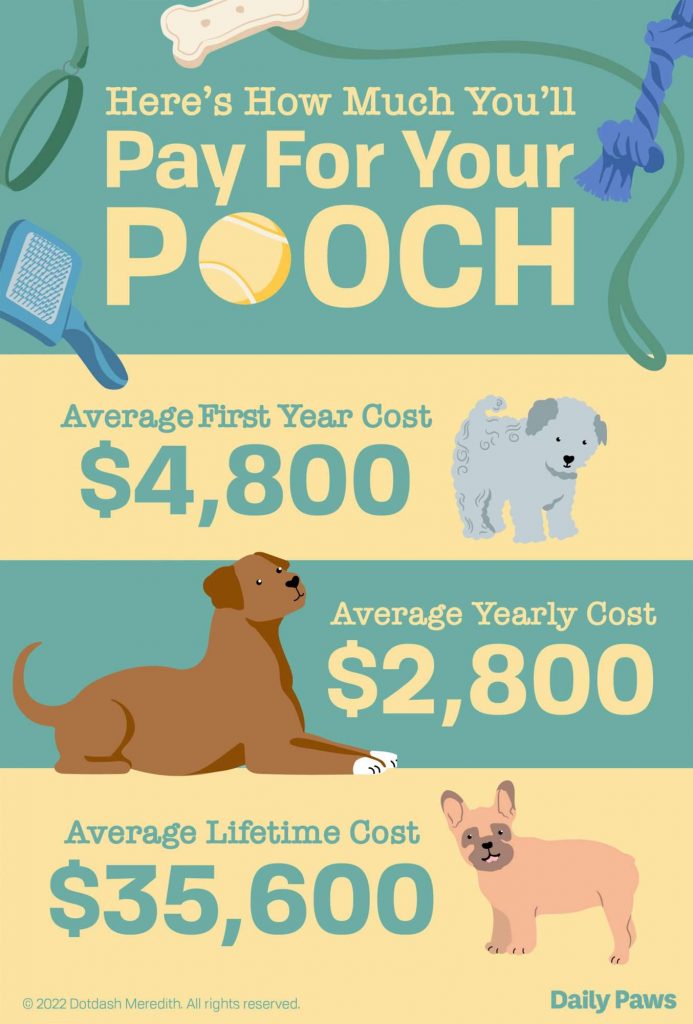 The Real Cost of Owning a Dog: An In-Depth Guide to Annual Expenses