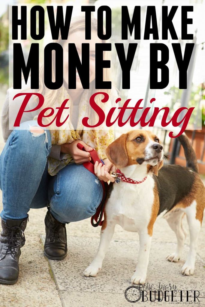 How Much Can You Earn as a Dog Sitter?