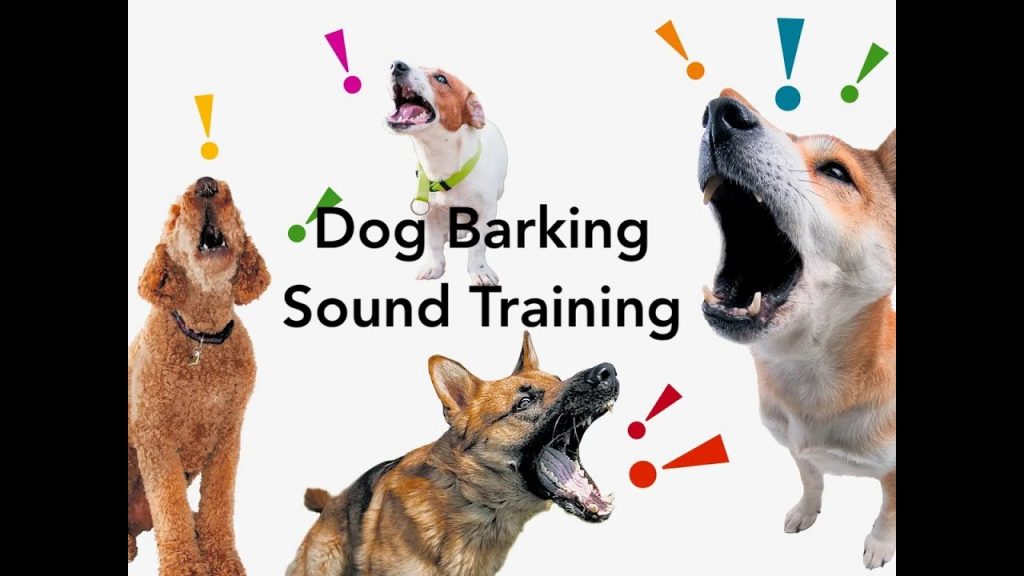 How to Train Your Dog to Stop Barking: A Guide to Effective Sound-based Training