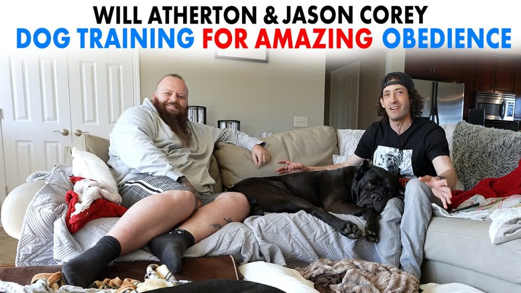 The Art of Effective Dog Training: Insights from Will Atherton