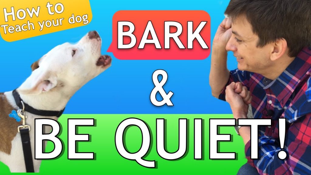 Effective Techniques to Stop Dog Barking: A Comprehensive Guide