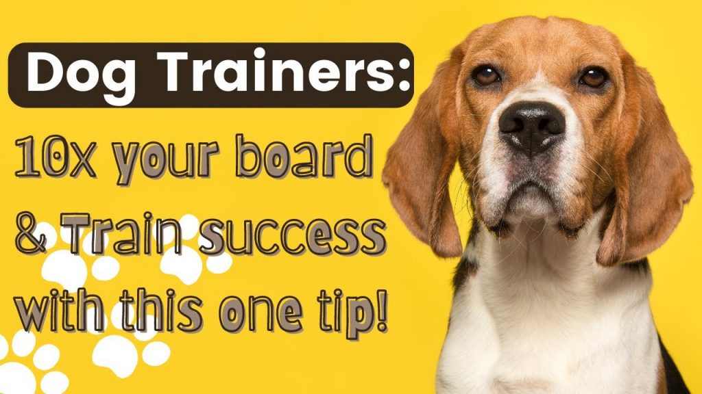 Etiquette 101: Should You Tip Your Dog Trainer?