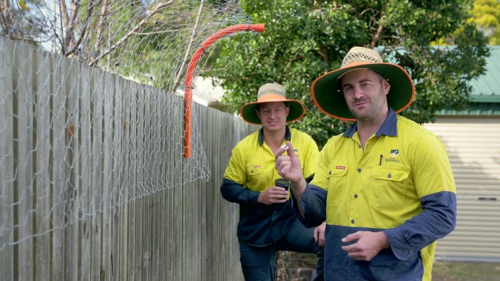 How to Train Your Dog to Stop Jumping Over the Fence: Effective DIY Methods