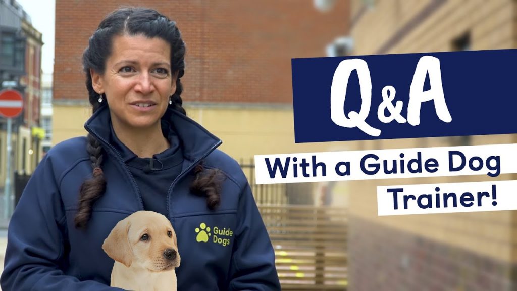 Finding Guide Dog Training Centers: A Comprehensive Guide for Assistance Dog Seekers