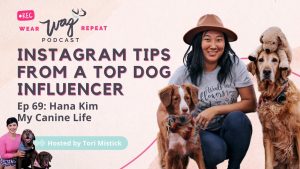 The Top Dog Tips Podcast: Expert Advice and Insights for Your Canine Companion