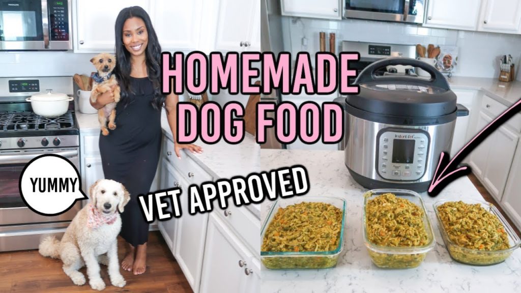 Simple and Effective Ways to Improve Your Homemade Dog Food Recipe