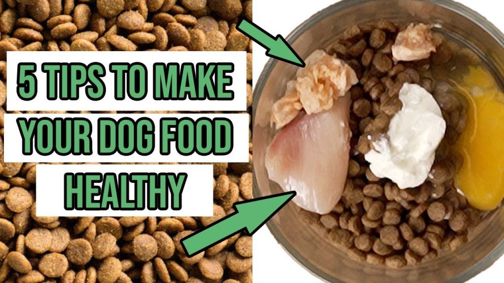 The Healthiest Homemade Dog Food Recipes for Your Furry Friend