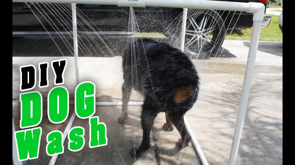 How Much Does it Cost to Wash Your Dog at Home: A DIY Guide