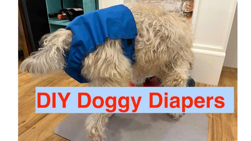 How to Make Your Own Dog Diaper: A Step-by-Step Guide for Pet Owners