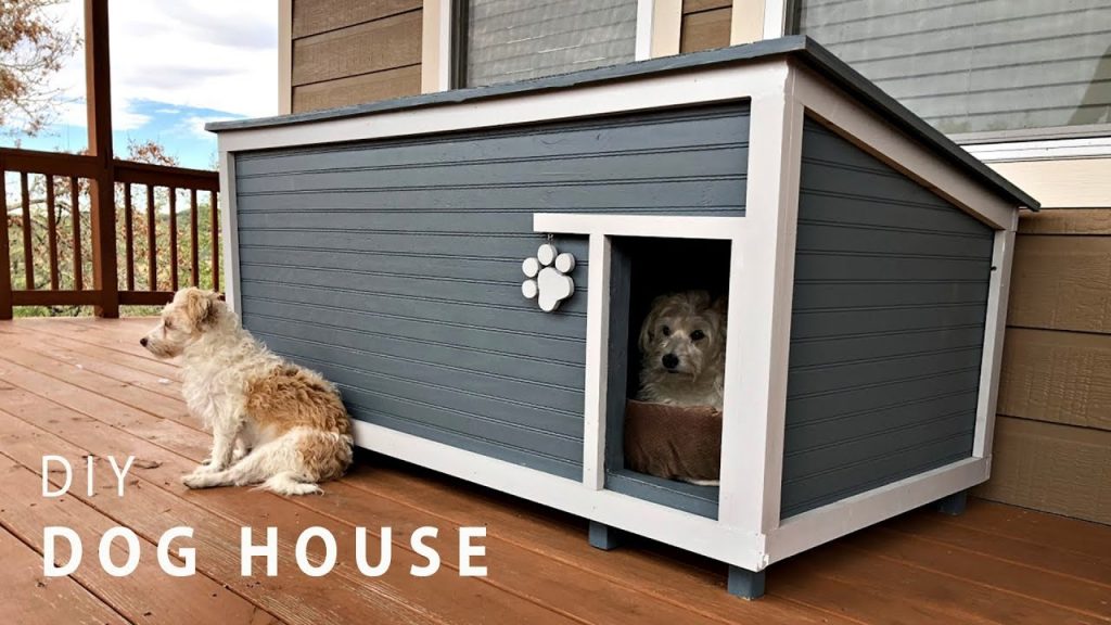 A Step-by-Step Guide to Building a Cozy Dog House: DIY Tips and Tricks