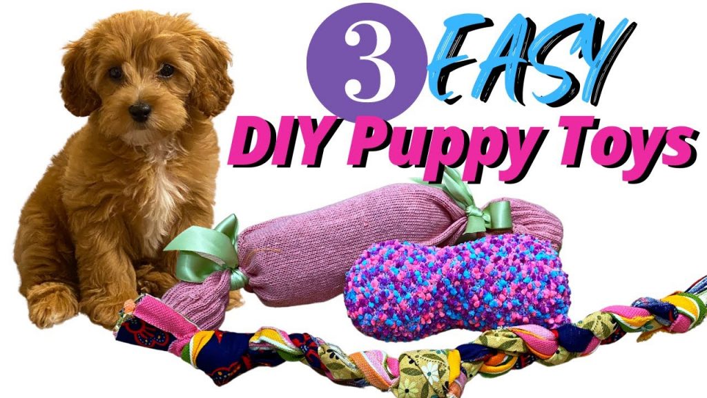 Creative and Affordable DIY Dog Toy Ideas for Your Pup's Playtime