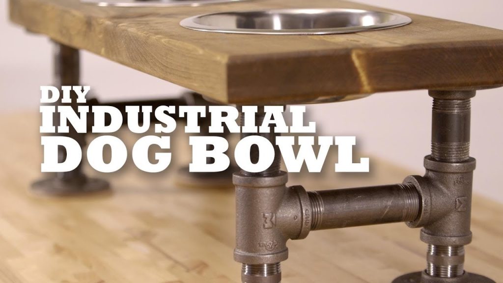 How to Create a DIY Raised Dog Bowl for Optimal Feeding Comfort