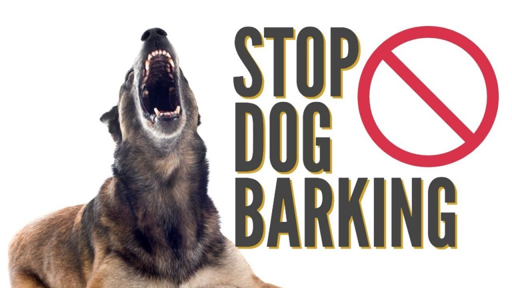 Effective Strategies to Tackle Excessive Barking in Dogs: Practical Tips for Pet Owners