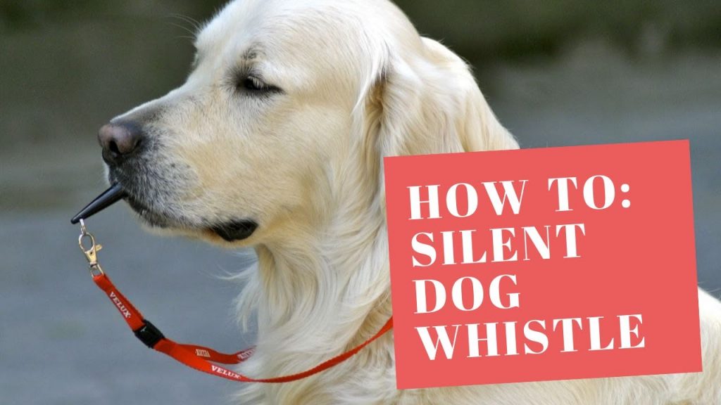 When and How to Utilize Dog Whistles for Effective Communication with Your Canine Companion