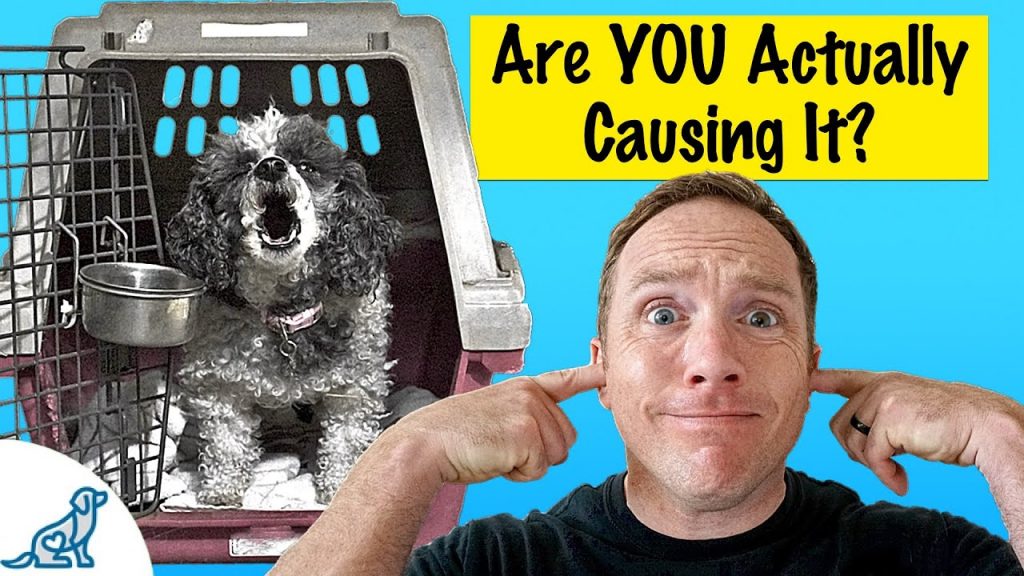 What to Do When Your Dog Barks During Crate Training: Effective Strategies for a Peaceful Training Experience