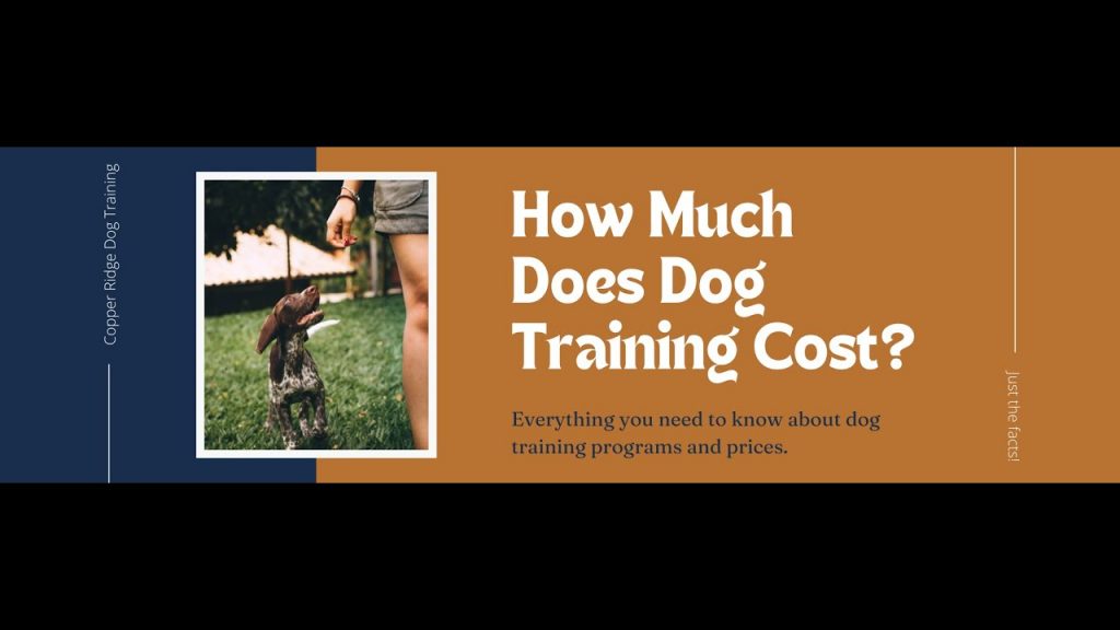 The Right Pricing for Professional Dog Training: Finding the Perfect Balance for Your Services