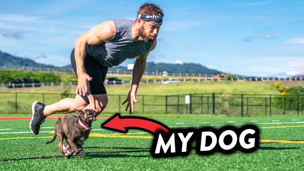 How to Improve Your Dog's Speed and Stamina Through Training