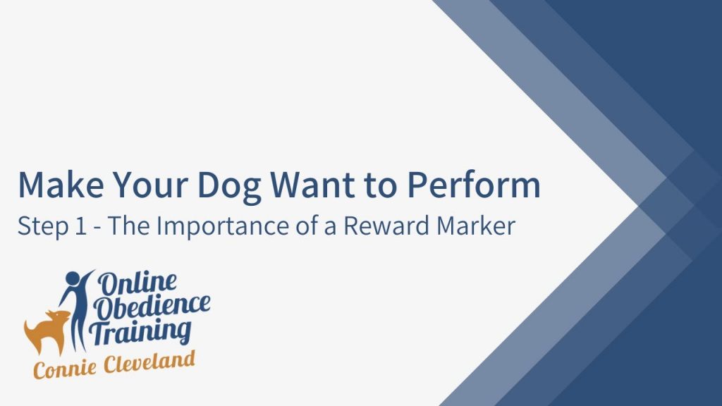 Why Obedience Training is Vital for a Well-Behaved Dog