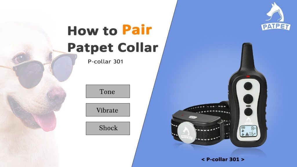 Why Won't My Patpet Dog Training Collar Pair? Effective Troubleshooting Tips