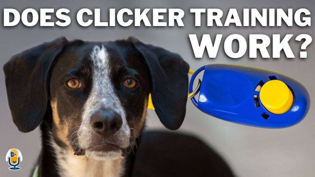 The Science behind Clicker Dog Training: A Gentle and Effective Approach to Teach Your Canine Companion