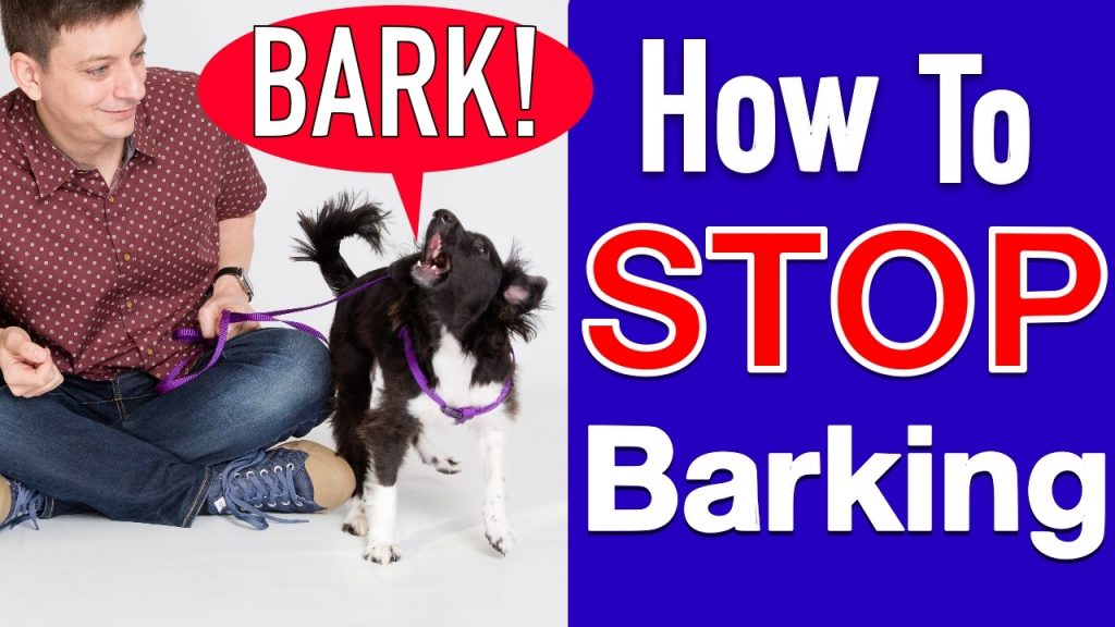 Effective Techniques to Train Your Dog to Stop Barking: A Step-by-Step Guide