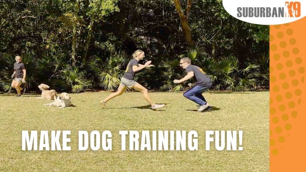 the Fun: Creative Ways to Make Dog Training Exciting!