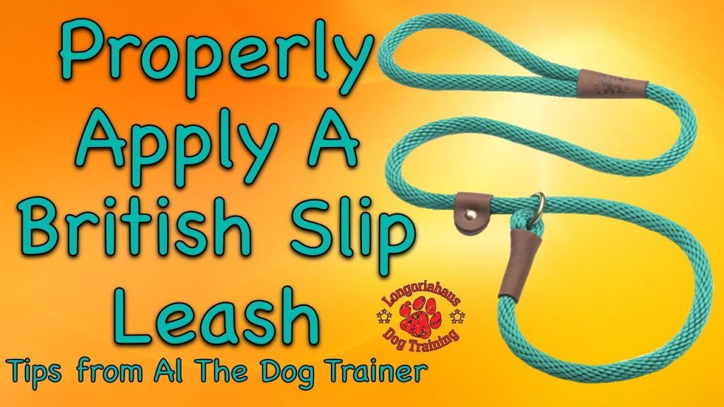 Effective Techniques for Using a Dog Training Lead: Enhance Your Pet's Skills