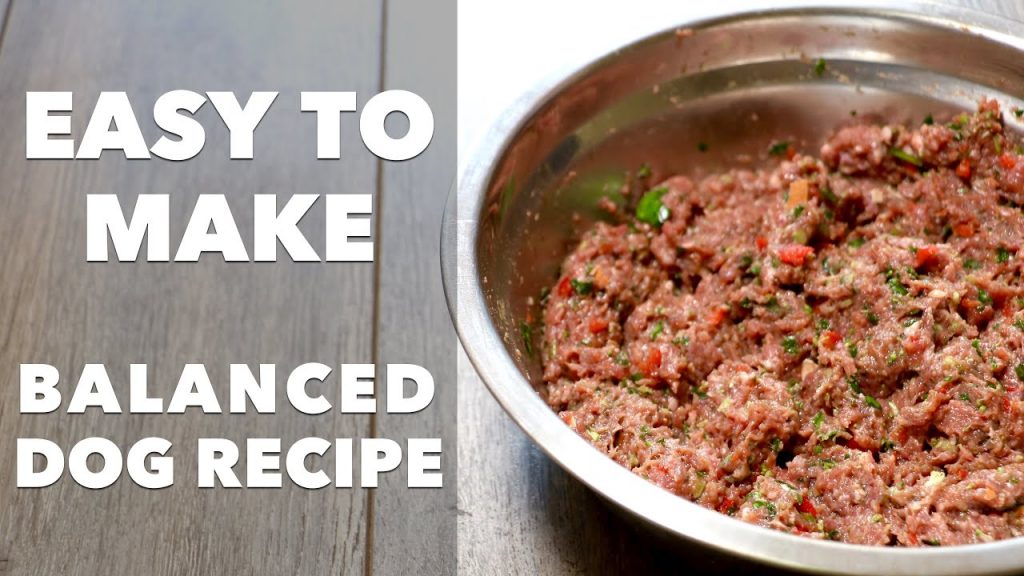 Preparing Nutritious Homemade Dog Food: A Pork-based Recipe for Your Furry Companion