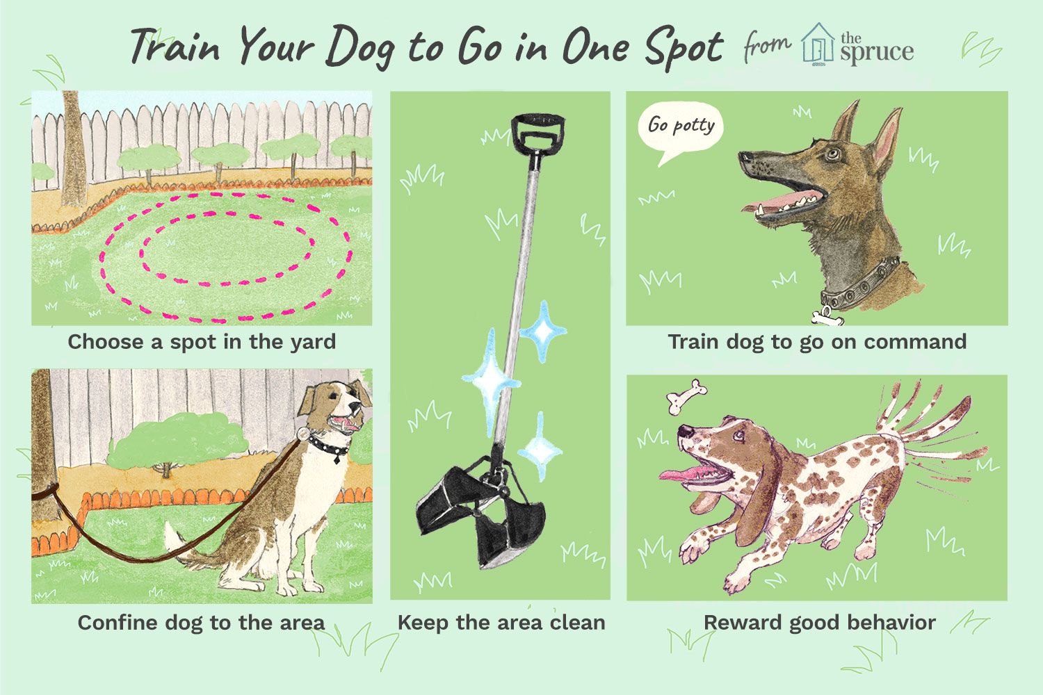 The Efficient Way to Successfully Potty Train Your Dog: A Practical Guide