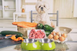 Creating Nutritious Homemade Dog Food: A Healthy and Natural Approach