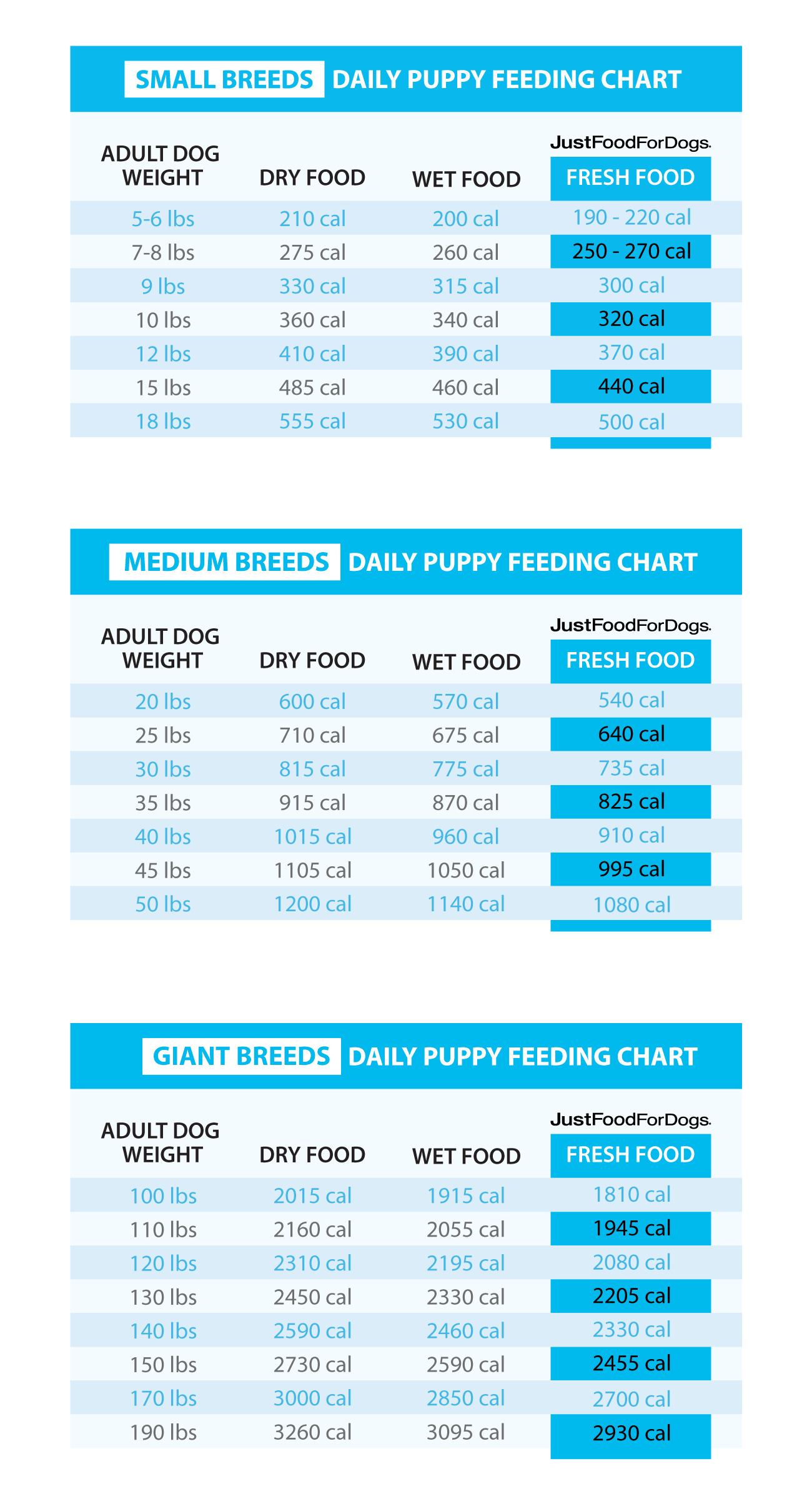 How to Calculate the Perfect Portion of Homemade Dog Food for Your Furry Friend