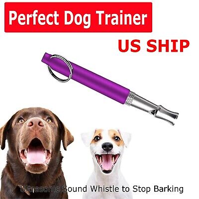 The Guide to Understanding Dog Training Whistle Sounds