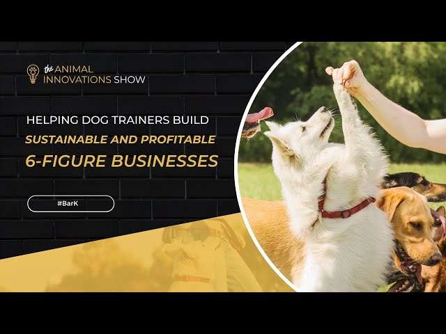 Is Dog Training a Lucrative Business Venture?