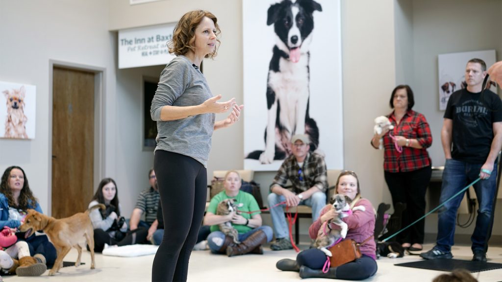 Understanding the Distinction: A Dog Trainer vs. a Behaviorist