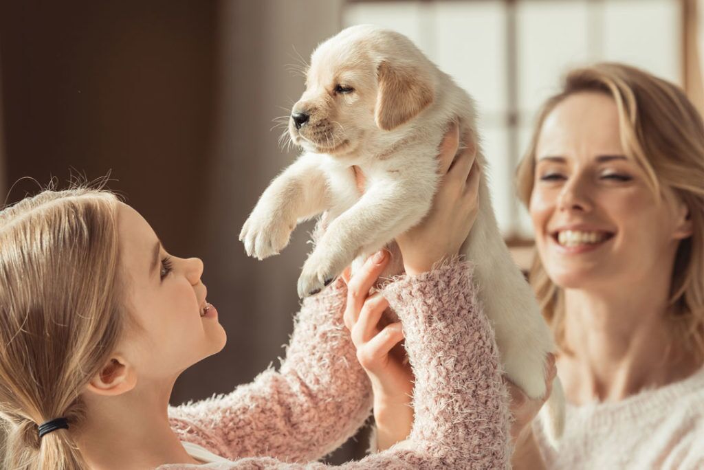 Building Lasting Bonds: Nurturing Lifelong Positive Behaviors in Your Beloved Canine