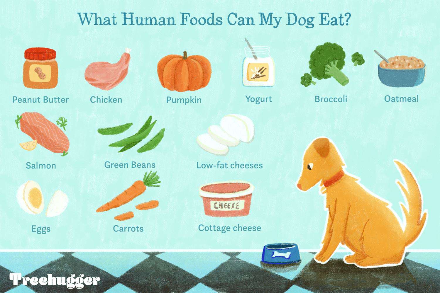 What Human Foods Can Dogs Safely Enjoy?