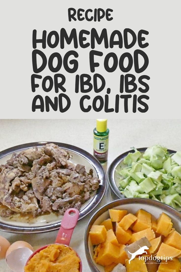 Why Grain Free Dog Food Can Help Alleviate Colitis in Your Canine Companion