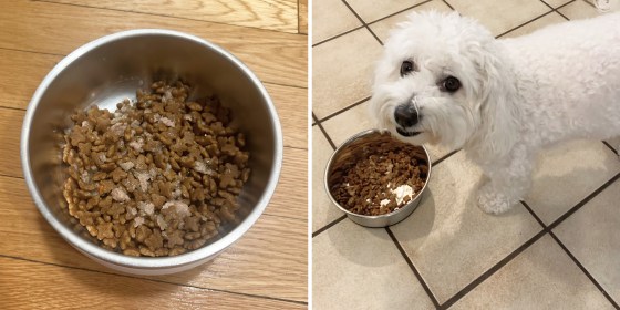 The Top-Rated Dog Food Brands Veterinarians Swear By