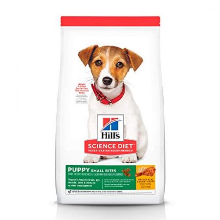 Choosing the Ideal Dog Food for Optimal Canine Health and Nutrition